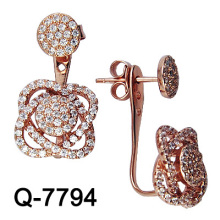 Fashion 925 Sterling Silver Micro Setting Earring (Q-7794)